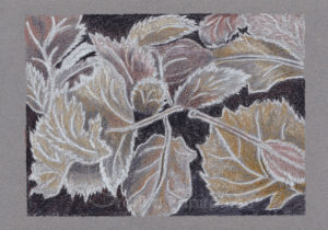 Frozen Leaves, colour pencil 21x14,8 cm