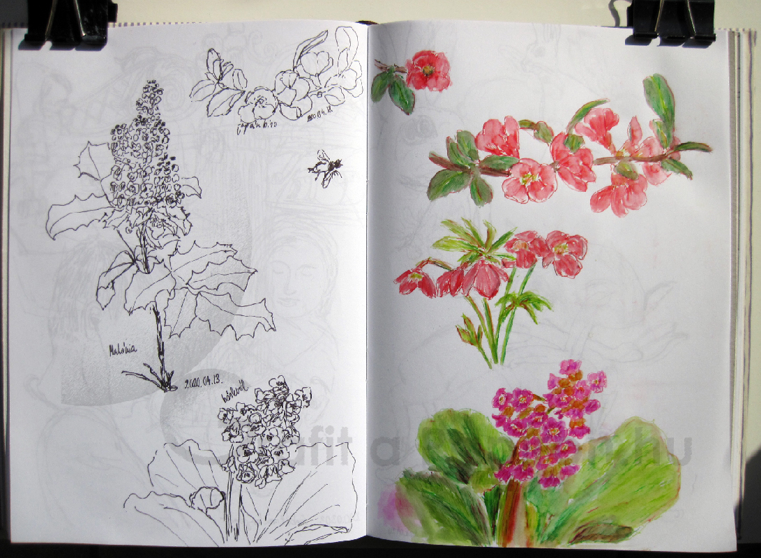Springtime Sketches