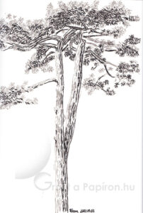 Pinetree, brushpen 21x29,7 cm