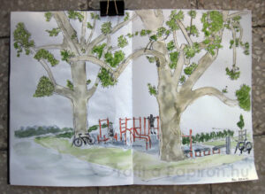 Fitness under platans in the City Park Budapest, fineliner & watercolour 42x29,7 cm