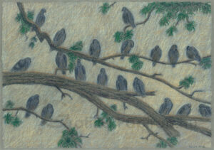 Pigeons Gathering, colour pencil 40x30 cm