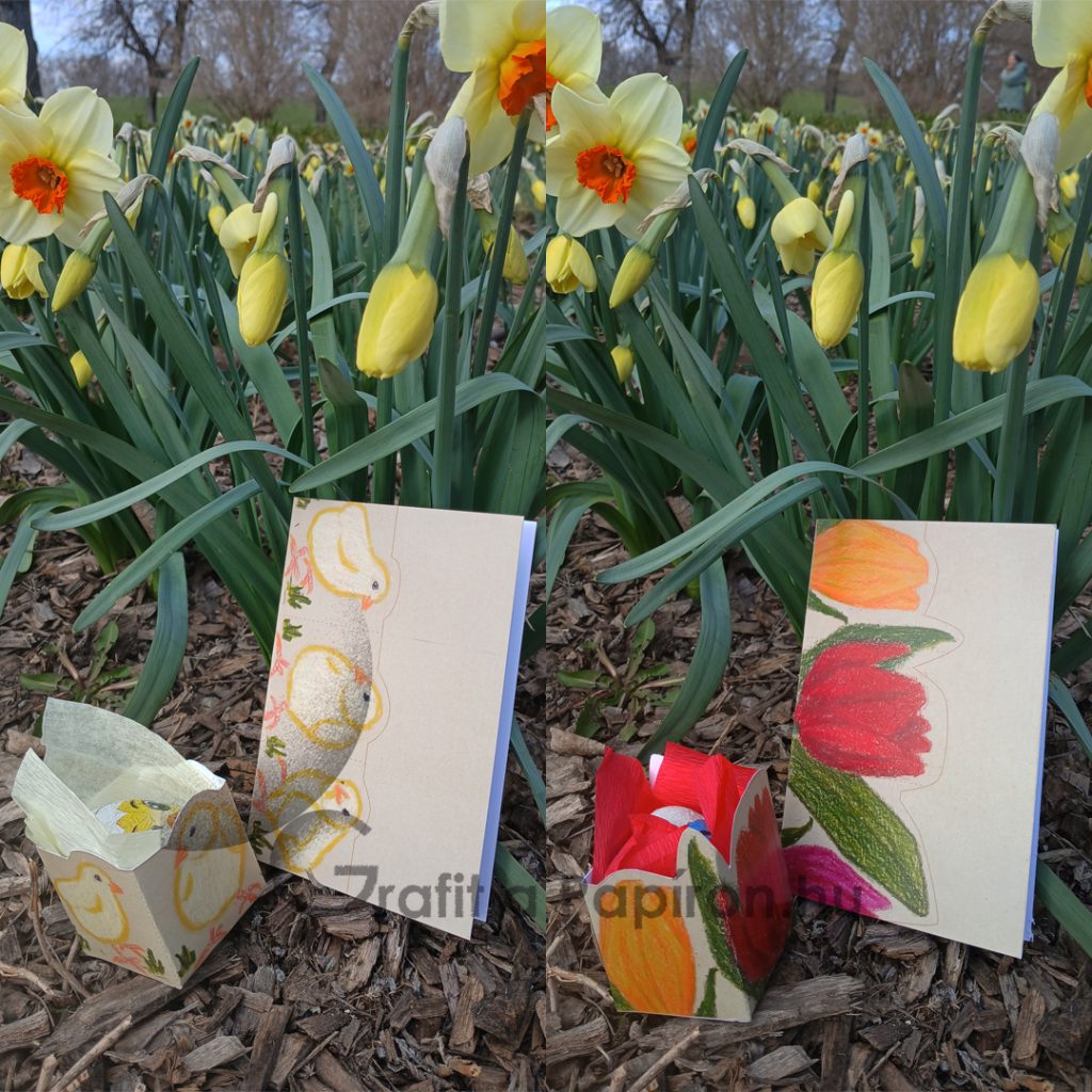 Húsvét, Transformer Card