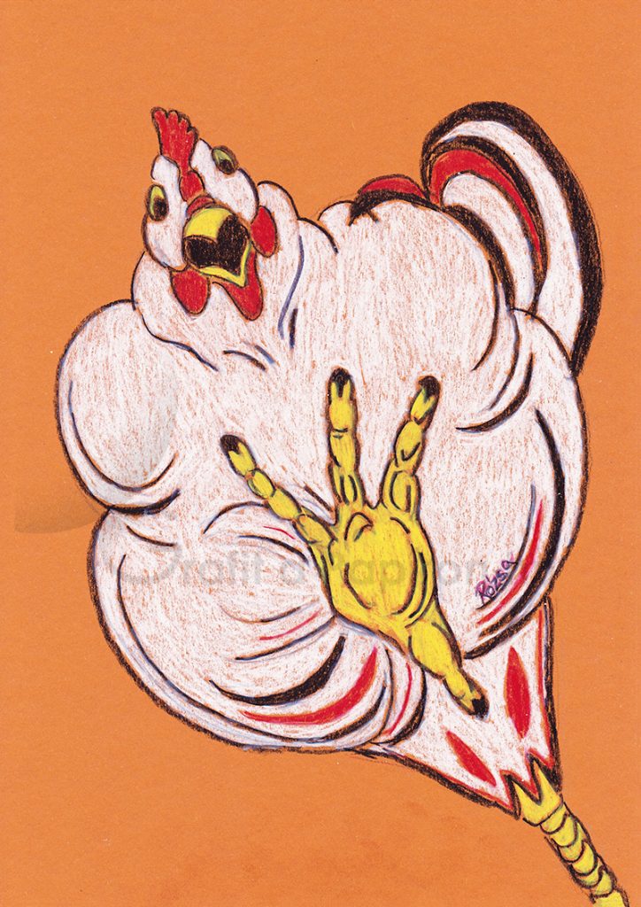 Checken grabbing the moment - colour pencil on toned paper