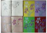 Irises