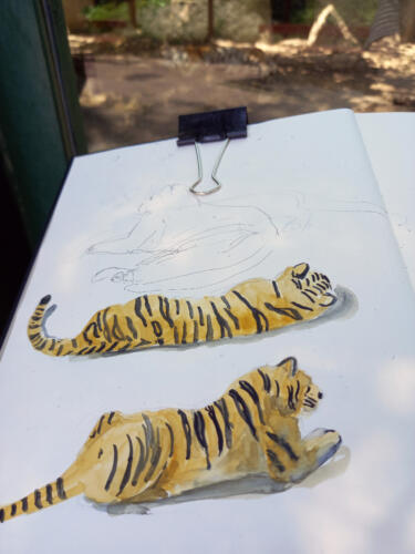 Háttérben a tigrisként felismerhető kupac - Swimathon 2022 adománygyűjtő kampány második rajzos sétája, Ázsia a közelben