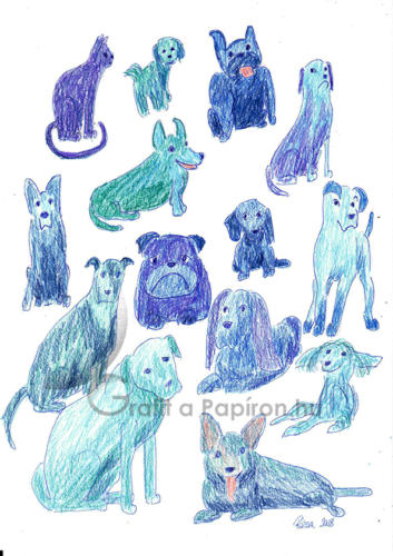 Illustration - Animals