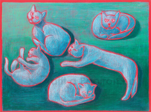 Cat Impressions, water-soluble wax pastel 40x30 cm