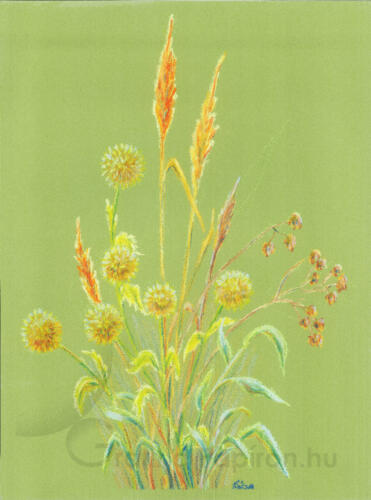 Flowers, watersoluble wax pastel on light green paper 30x40 cm