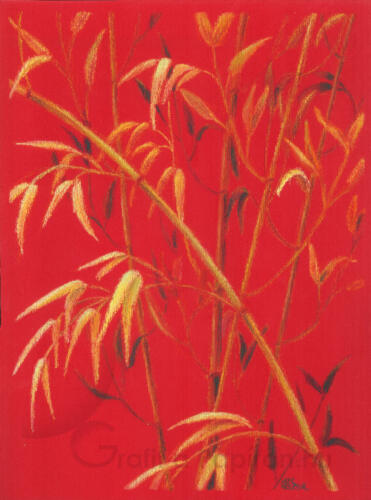 Bamboo 4, watersoluble wax pastel on red paper 30x40 cm