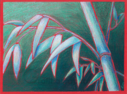 Bambusz 2, akvarellkréta vörös alapra 40x30 cm