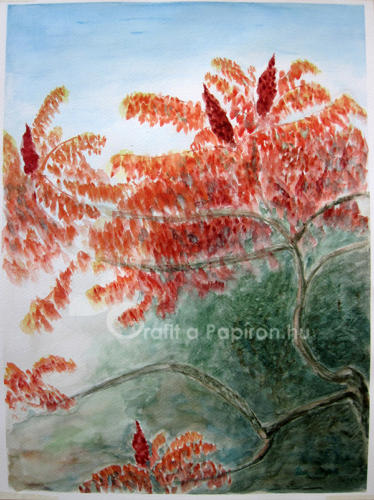 Autumn Colours of Staghorn Sumac, watercolour 30x40 cm
