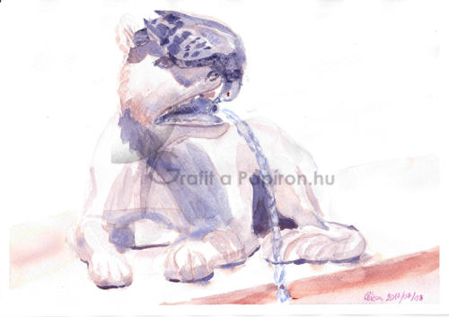 Szomjas galamb, akvarell 29,7x21 cm