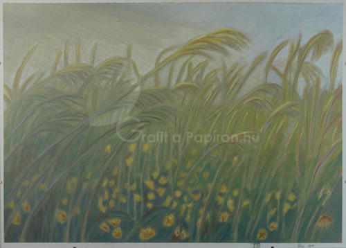 Field of green grass, pastel 50x70 cm