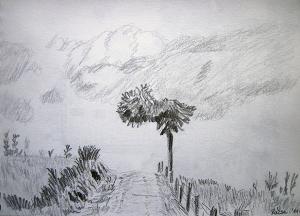 On the road, pencil